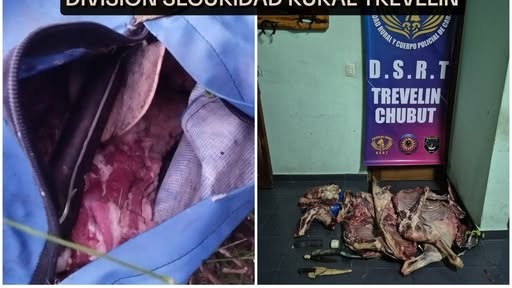 En Trevelin, la carne de ovino fue hallada en dos bolsas de nylon.