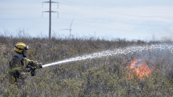 Foto: Sergio Esparza / Diario Jornada
