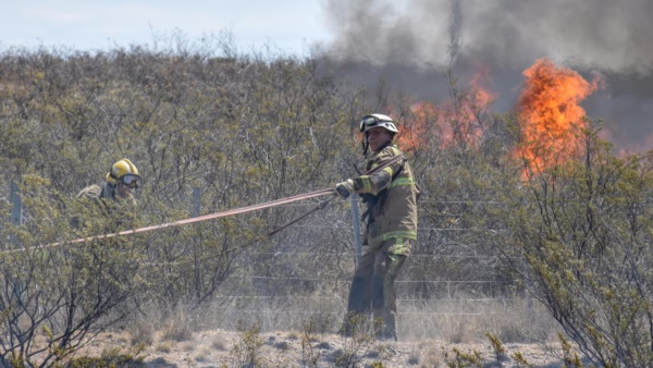 Foto: Sergio Esparza / Diario Jornada