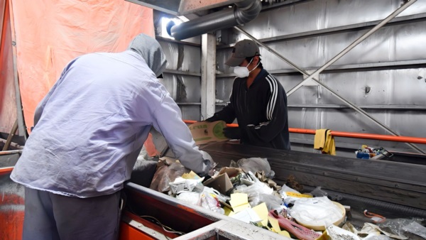 Operarios separando los productos recolectados.