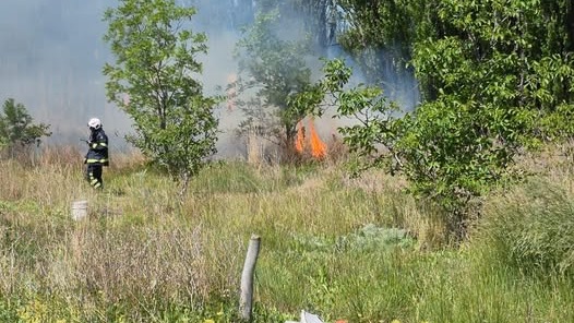 Los bomberos tardaron una hora para apagar el fuego.