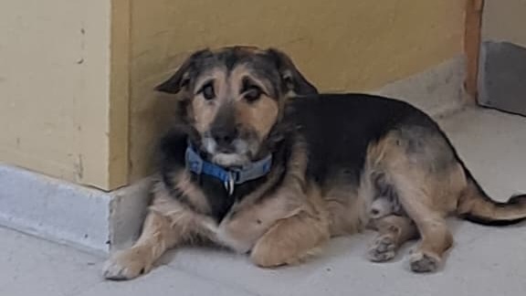 Chiquito esperando en uno de los pasillos de la Escuela 786.