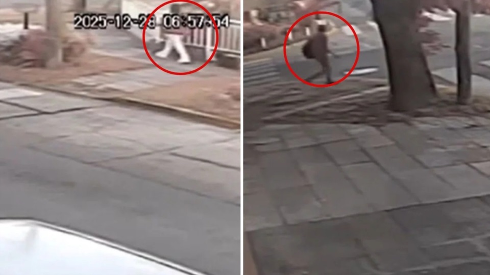 Momento en el que la víctima paseaba al perro y atrás la perseguía su agresor.