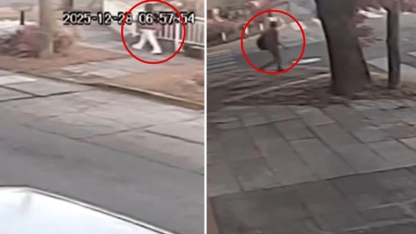 Momento en el que la víctima paseaba al perro y atrás la perseguía su agresor.