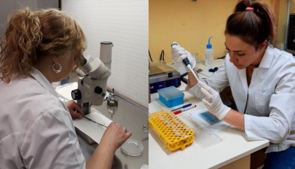 María Laura Vélez y Ana Laura Gallo, investigadoras del CIEFAP.