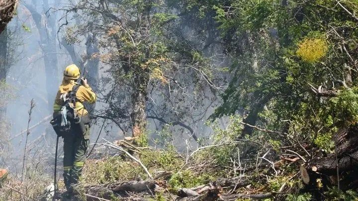 El incendio se inició este martes a la mañana. Foto archivo.