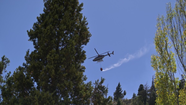 El Servicio de Manejo del Fuego informó que el siniestro ígneo afectó unas 84 hectáreas.
