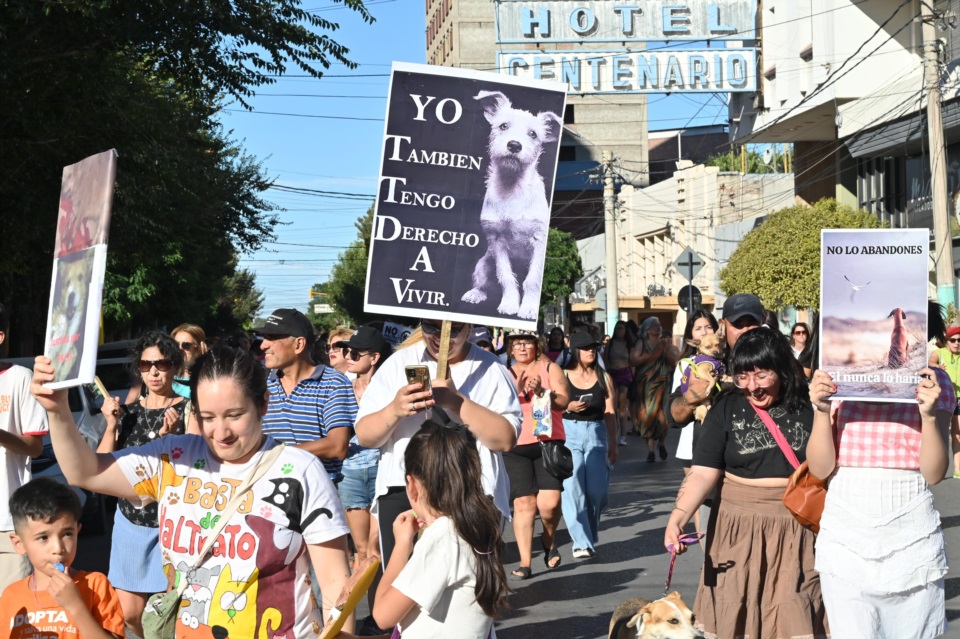 Foto: Daniel Feldman