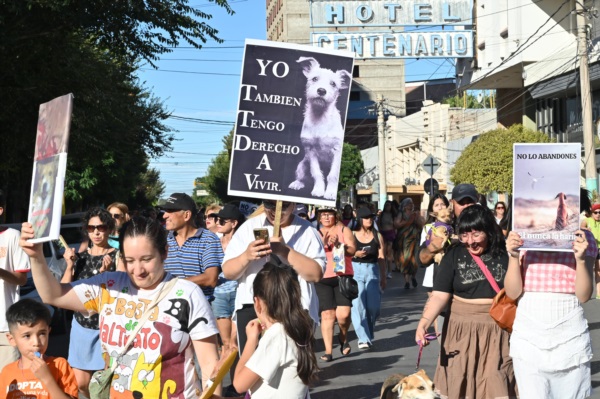 Foto: Daniel Feldman