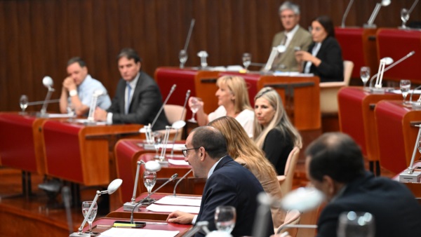 Foto: Daniel Feldman / Diario Jornada