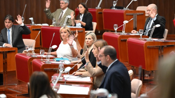 Foto: Daniel Feldman / Diario Jornada
