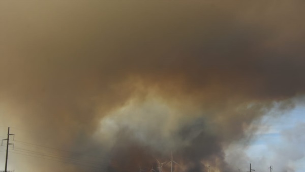 Foto: Sergio Esparza