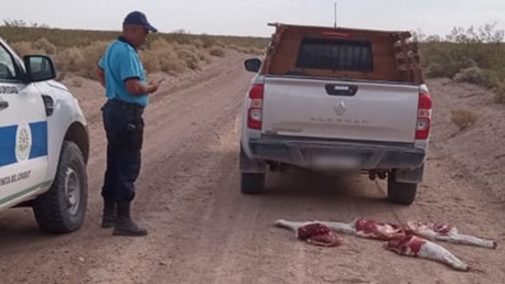 La carne de guanaco fue incinerada y el arma quedó en depósito judicial.