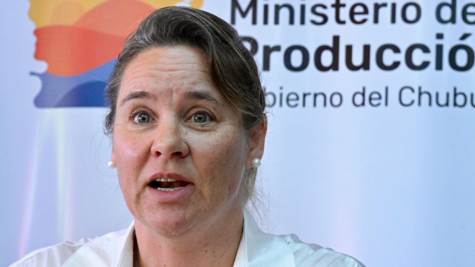Laura Mirantes, ministra de Producción. Foto: Daniel Feldman / Diario Jornada