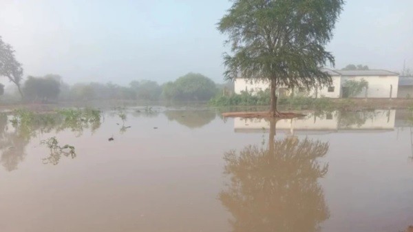 Foto gentileza: El Caudillo.