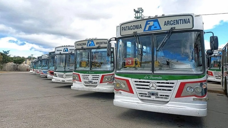 Los colectivos de Patagonia Argentina, bajo la lupa.