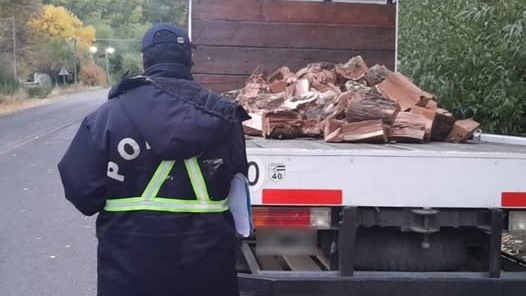 La leña secuestrada fue trasladada a la comisaría de Epuyén.