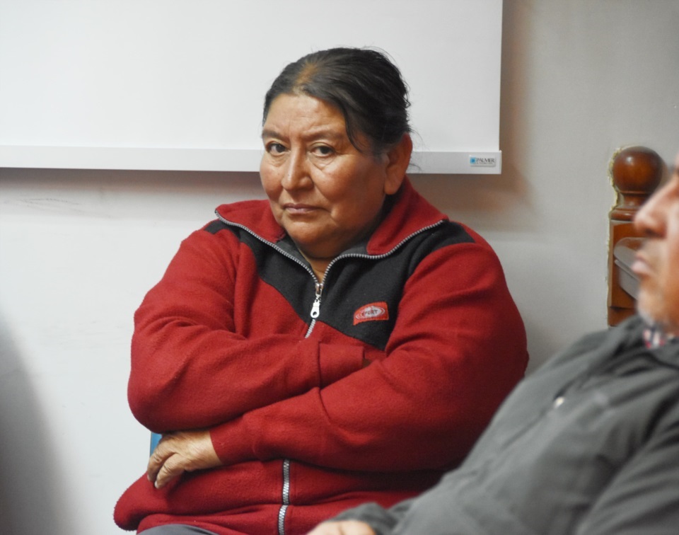 Elena Amigoren, presunta jefa de la asociación ilícita. 