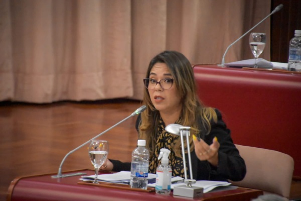 Diputada Tatiana Goic.
