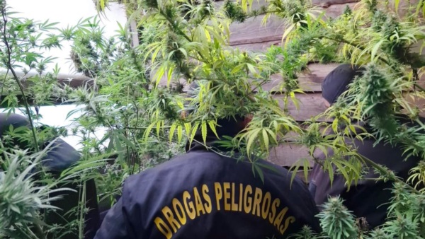 La diligencia se efectuó en Lago Puelo.