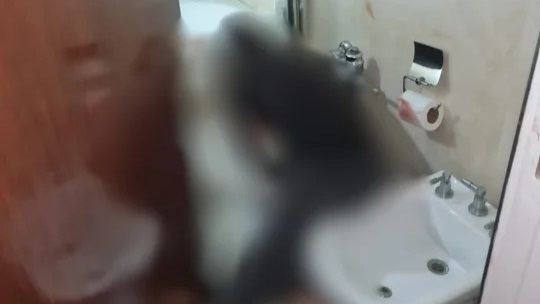 En el baño, fue hallada Laura Leguizamón, madre de los chicos y principal sospechosa. Su cuerpo estaba recostado sobre el bidet, con lesiones autoinfligidas en el pecho y cortes en las muñecas. La autopsia arrojó compatibilidad con suicidio. Foto: NA
