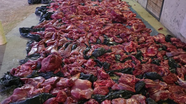 Se especula que el producto de los 42 guanacos faenados era para comercializarlo.
