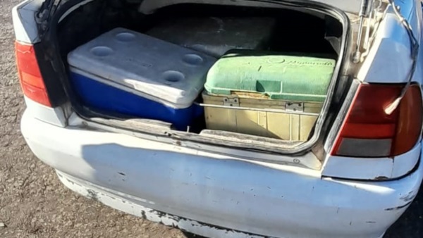 Dos de las conservadoras halladas en el baúl de un VW Polo.