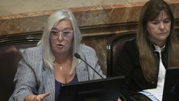 Senadora por Chubut, Edith Terenzi.
