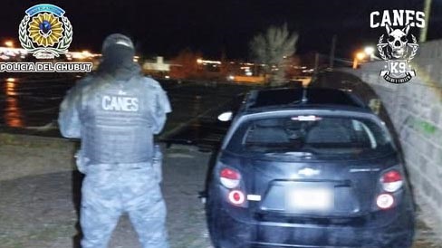 El vehículo fue encontrado oculto en un baldío.