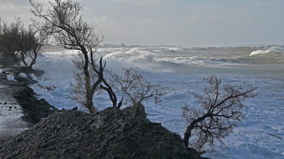 FOTO: Daniel Feldman.