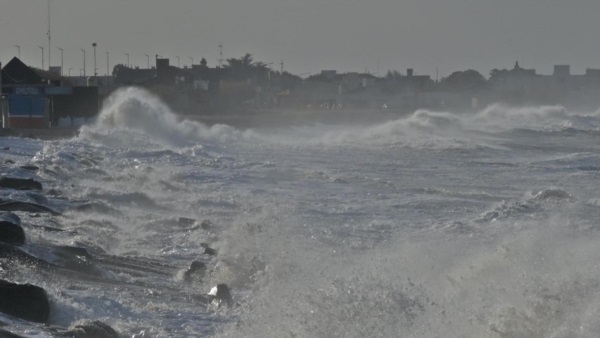 FOTO: Daniel Feldman.