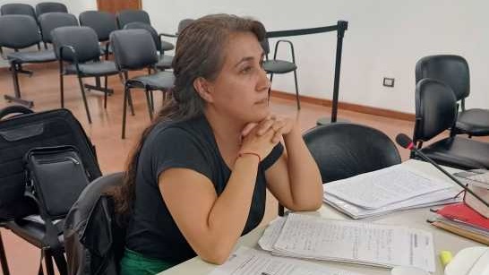 Rita Barrionuevo, fiscal de la causa.