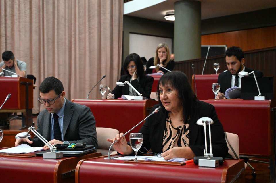 El bloque "peronista" no tenía nada para decir del Superior Tribunal.