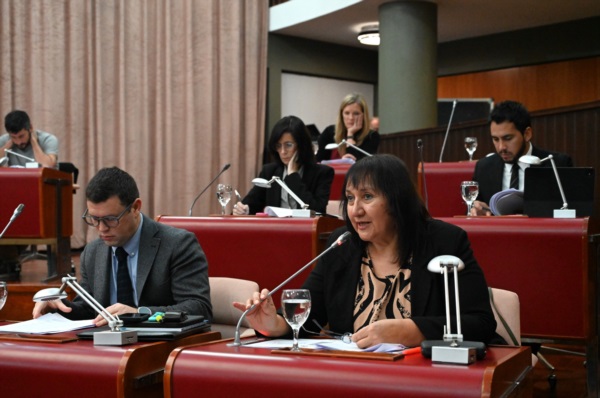 El bloque "peronista" no tenía nada para decir del Superior Tribunal.