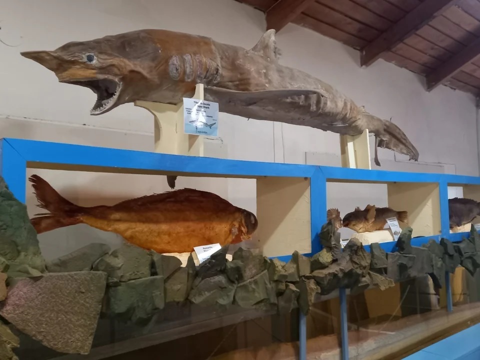 Aquavida ofrecerá una muestra en el Centro Cultural “José Hernández”.