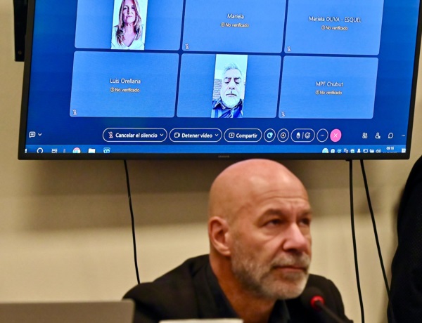 Fiscal Rodríguez, detrás -vía Zoom- Quiroga.