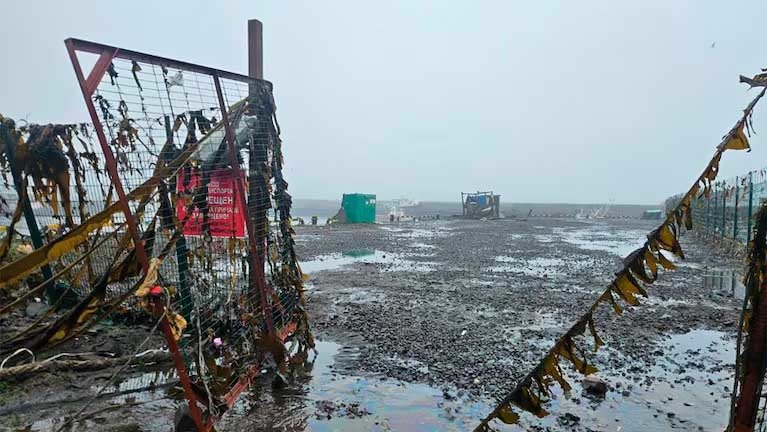 Tras el potente sismo, el mar se retiro de la costa de Kamchatka.