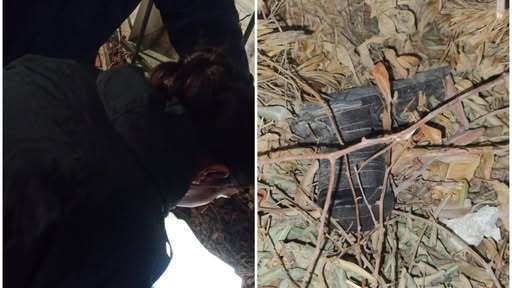 El arma fue encontraba abandonada por el sujeto que pretendía escapar.