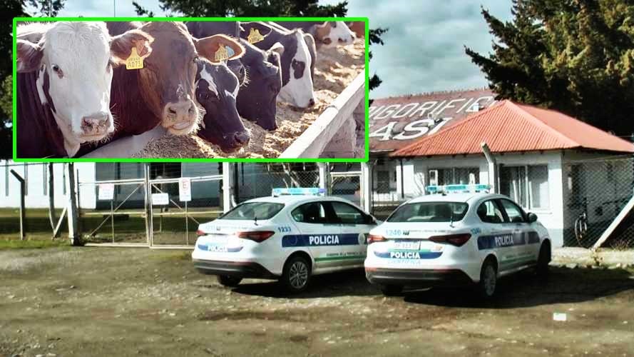 Parte de las diligencias judiciales se llevaron a cabo en la planta Dicasur.