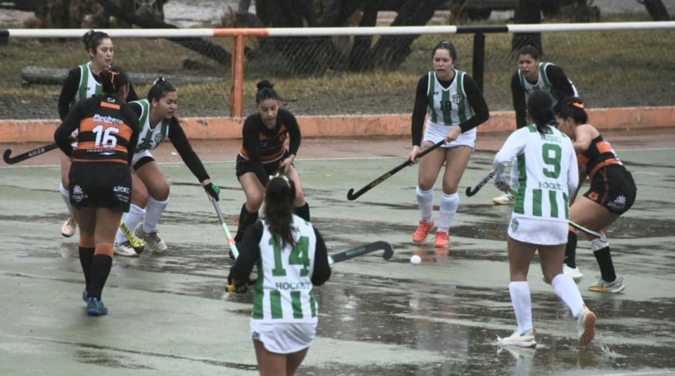 (Foto: Norman Evans/Jornada).