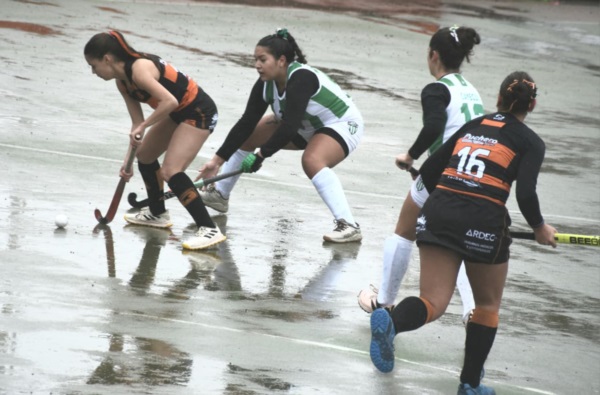 (Foto: Norman Evans/Jornada).