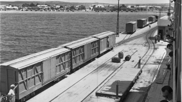 Tren de cargas en el puerto madrynense.