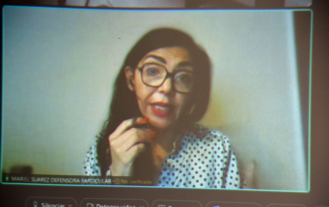 La defensora Suárez, en una audiencia por video. 