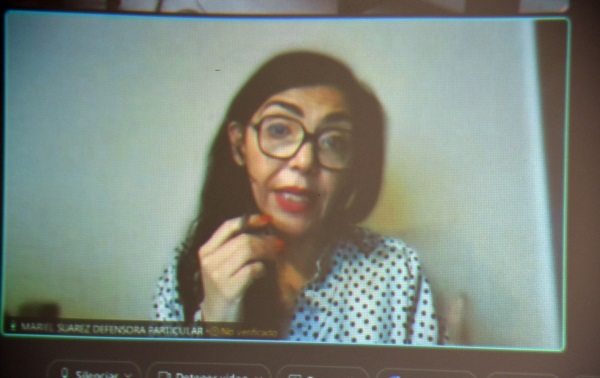La defensora Suárez, en una audiencia por video. 