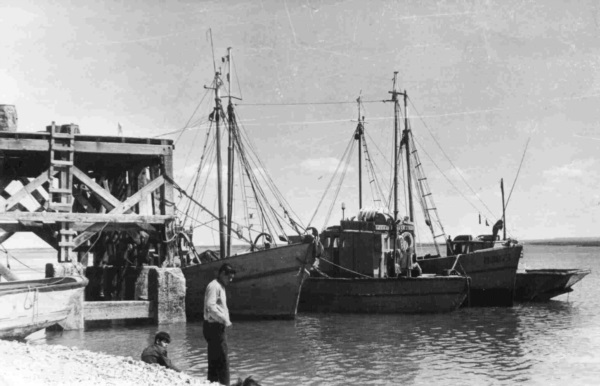 El histórico puerto capitalino, emblema de la ciudad.