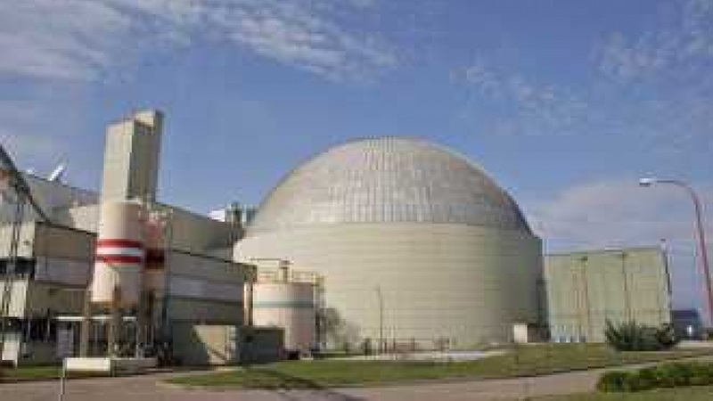 Nucleoeléctrica Argentina fue autorizada a privatizarse con la aprobación de la Ley Bases.