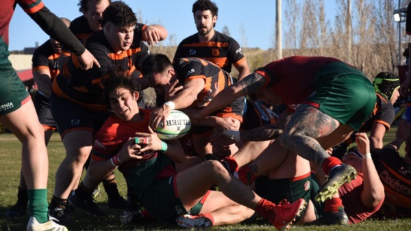 (Foto: Diario Crónica).