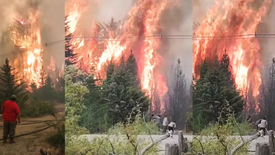 “Es la peor tragedia ambiental en 20 años”