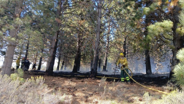 La rápida intervención de los servidores públicos, evitó que el fuego se propagara.
