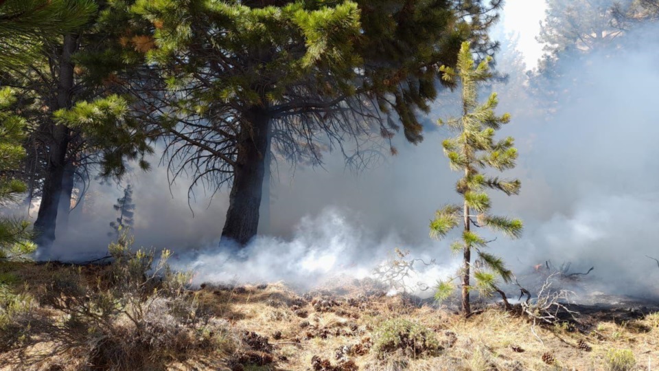 El incendio se produjo en sector de la subida a los miradores.